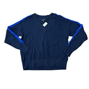 Banana Republic Factory Navy V-Neck Sweater with Blue Stripes